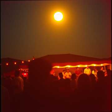 Un Llamado a la Luna Dorada