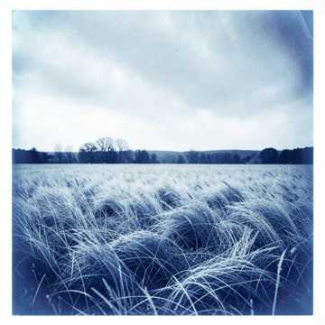 Bare Wind Fields