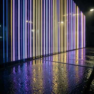 Nocturne in Neon