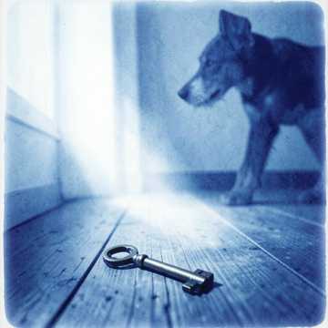 awerysopelea - I Miss Me Too