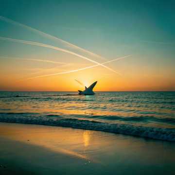 Echoes of Midnight Flight