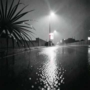 Miami. Afther midnigth