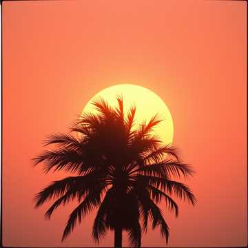 City of Dreams and Fears