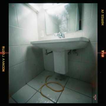 Congo en el baño Congo en el baño