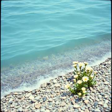 Sam and Amelia’s Tale