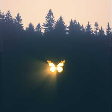 나 를 더 잘 아는 너