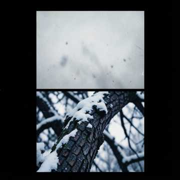 ASHES ON THE WIND