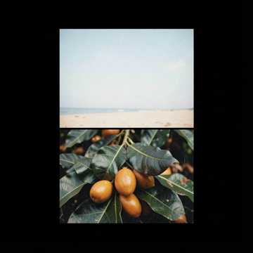 Jamaica land we love  #2 by my progress 