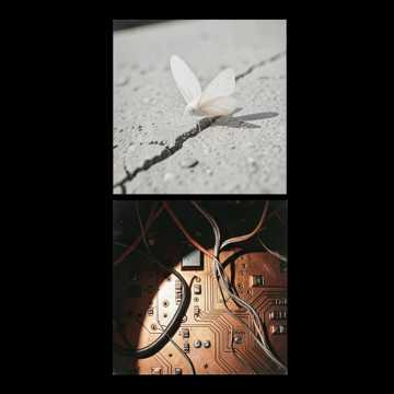BAD MOTHAFUCKA 9-12-26●●●ALBUMCUT BAD MOTHAFUCKA 9-12-26●●●ALBUMCUT