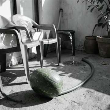 Finché il cocomero sa ancora