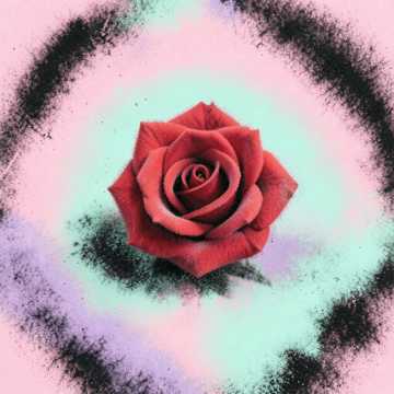 この薔薇を この薔薇を