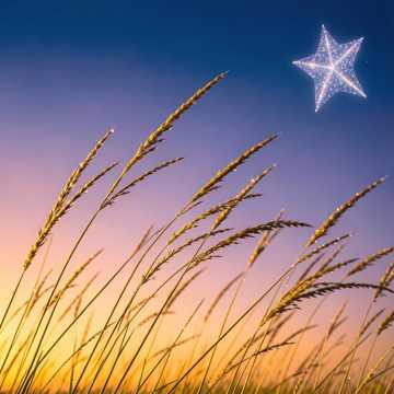 Sommerwind‑Sternen‑Beat
