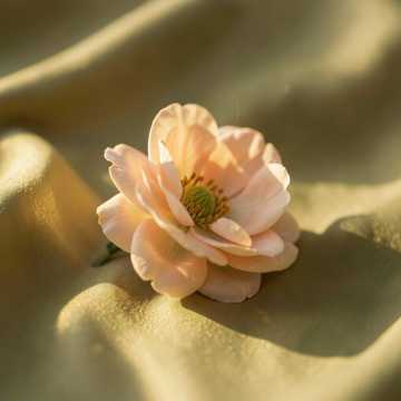 Flor Que Se Cheira