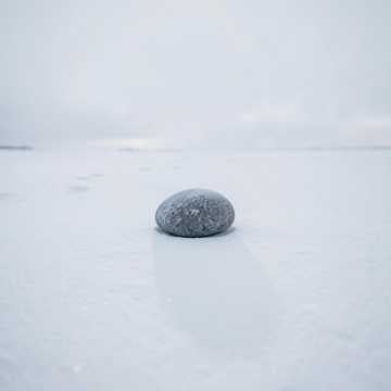 En la nieve En la nieve