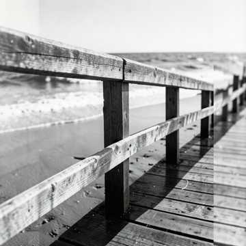 Avalon Waves Avalon Waves