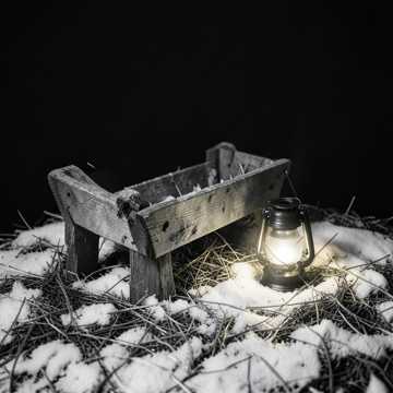 Star of Bethlehem's First Light