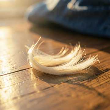 Bobby's Sunlit Hair