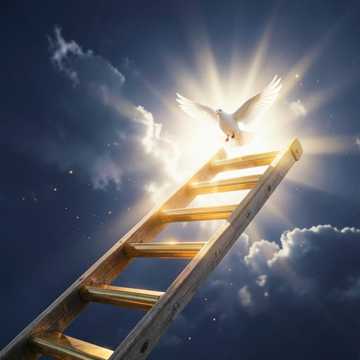 Never Give Up Never Give Up