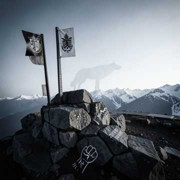 Steel on the Border