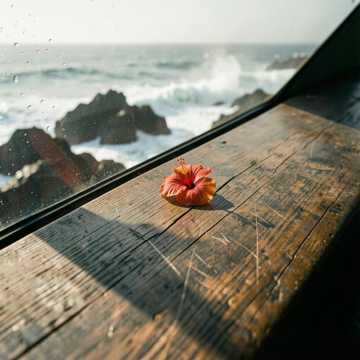 Lei On The Dash