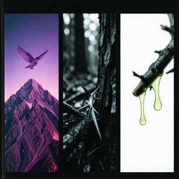 Canticum Nox Mundi