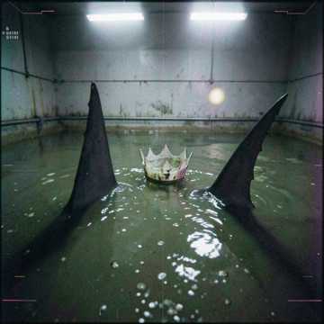 King & Queen Sharks