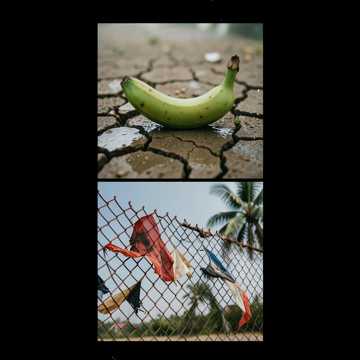 Green Banana March