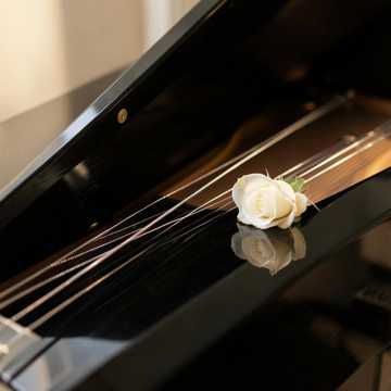 Cuore di Pianoforte Cuore di Pianoforte
