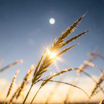 Sommerwind‑Sternen‑Beat