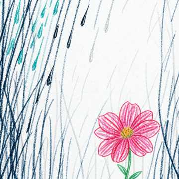 Lluvia que Despierta Flor