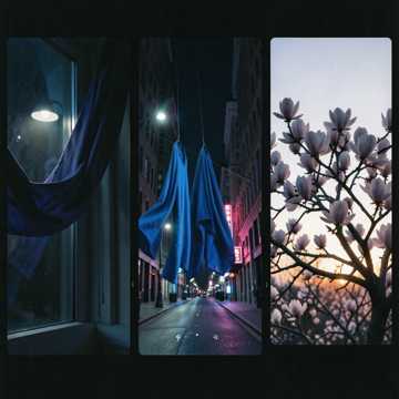 Magnolias dans la mémoire