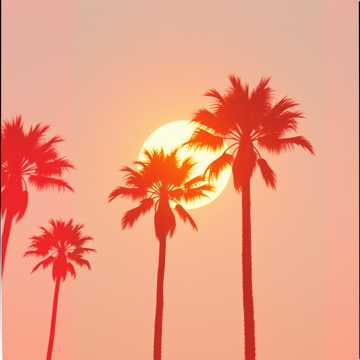 Timeless Breeze Timeless Breeze