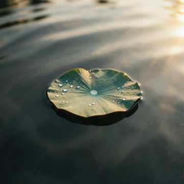 Echoes of Eden