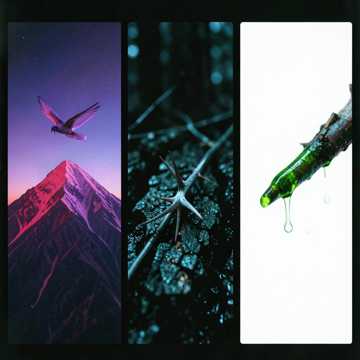 Canticum Nox Mundi Canticum Nox Mundi