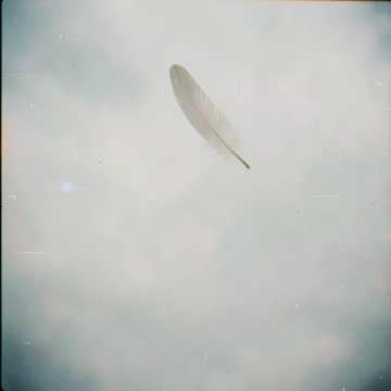 Feather