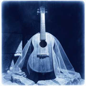Midnight Lute of the Veil