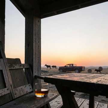Whiskey Sunrise