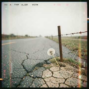Dusty Roads, Broken Hearts