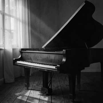 Sonata in Midnight Moonlight Sonata in Midnight Moonlight