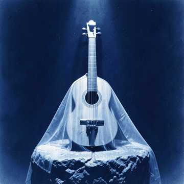 Midnight Lute of the Veil