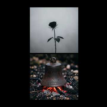 La Rosa Negra