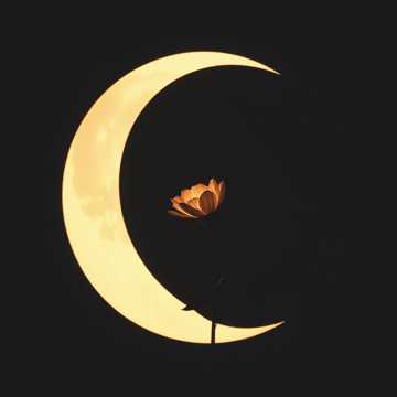 Quem é filho a reconhece