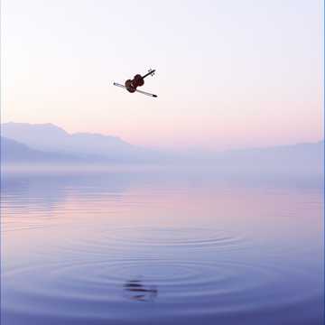 Still Water Circles