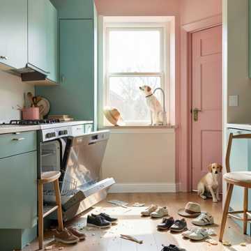Dishwasher Divorce