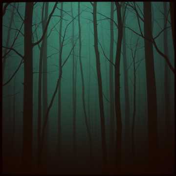 El marginado instrumental 