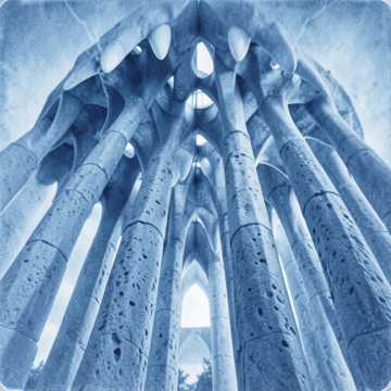 Cathedral of Teeth Cathedral of Teeth