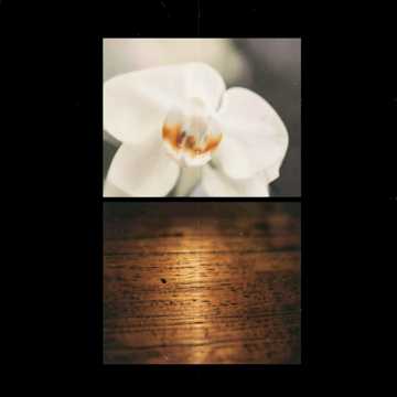Ester