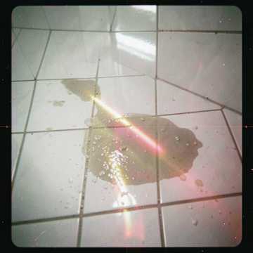 Mirror on the Tile Mirror on the Tile