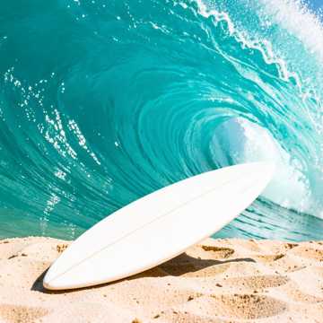 Perfect Wave