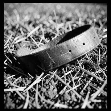 Eleven Belt Symphony Eleven Belt Symphony